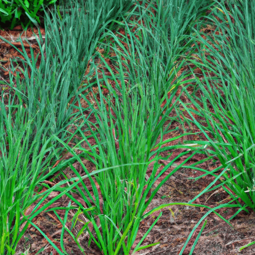 An image showcasing a lush garden bed with vibrant green onion plants thriving alongside an array of neighboring vegetables