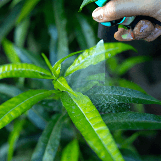 An image showcasing a hand gently spraying a solution of neem oil on a vibrant green plant, while delicate spider mites are visibly disappearing in the process
