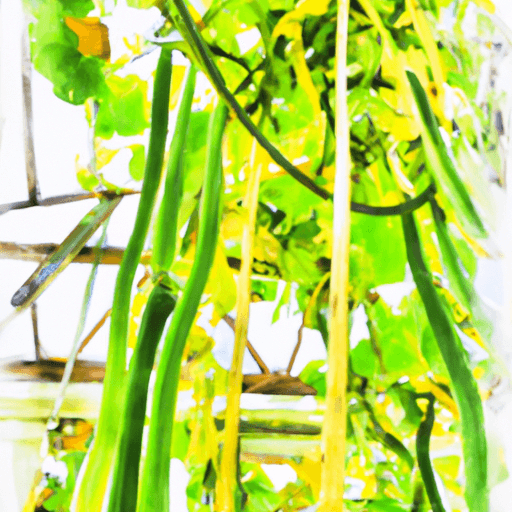 An image capturing the vibrant green vines of cucuzza squash, gracefully entwined around a sturdy trellis