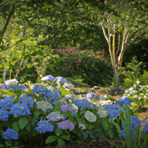 An image showcasing a lush garden with dappled sunlight filtering through tall trees, casting a gentle glow on a thriving bed of Penny Mac Hydrangeas, surrounded by rich, well-drained soil