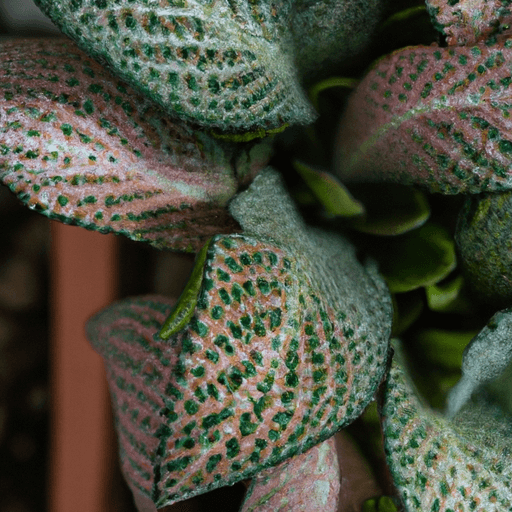 An image showcasing a healthy, vibrant plant surrounded by other plants with powdery white patches on their leaves
