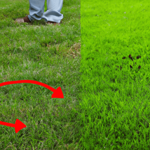 An image depicting a vibrant, healthy lawn with an immaculate emerald green color