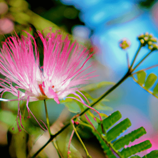 An image showcasing a vibrant Princess Flower in full bloom, standing tall with lush green foliage