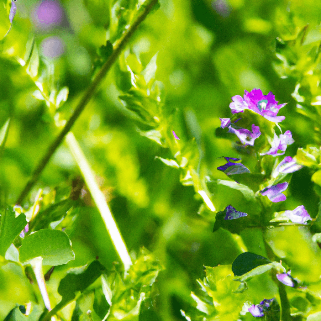 An image showcasing a vibrant garden landscape, with a close-up of a purple flowered weed amidst a sea of green grass