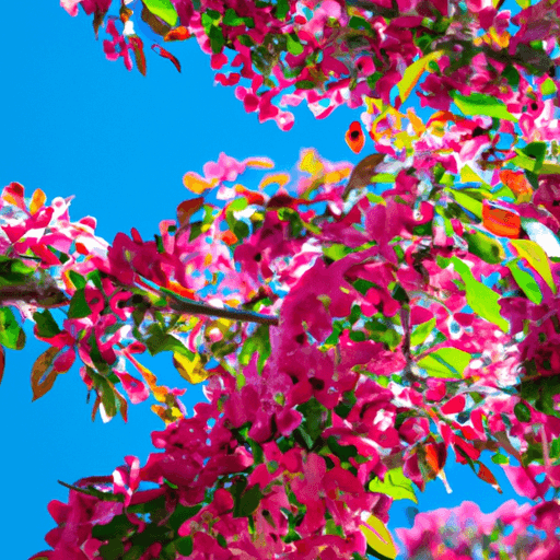 An image capturing the vibrant beauty of a blossoming Sargent Crabapple tree in full bloom, showcasing its delicate pink flowers cascading gracefully among lush green leaves, against a backdrop of a clear blue sky